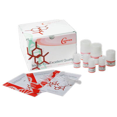 Genview 动物组织基因组DNA提取试剂盒 GV-Animal tissue genomic DNA extraction kit